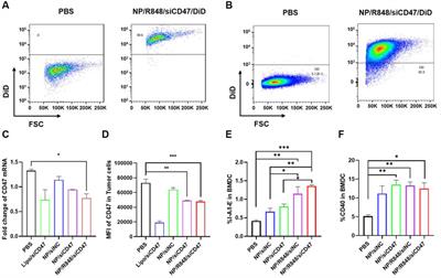 Cationic lipid-assisted nanoparticles for simultaneous delivery of CD47 siRNA and R848 to promote antitumor immune responses